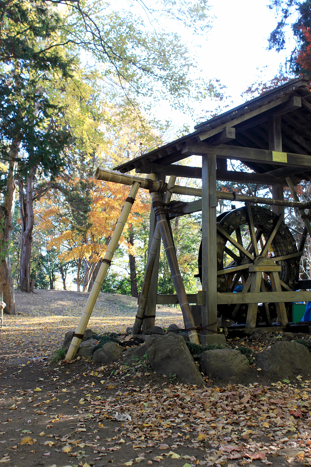 吉田水辺公園の水車b.jpg