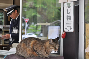 No 003 守衛さんとはなちゃん 思い出の一枚 東京学芸大学 辟雍会 No 003 守衛さんとはなちゃん 思い出の一枚 東京学芸大学 辟雍会